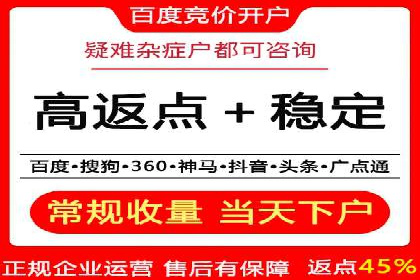 百度竞价推广公司成功案例：如何快速提升品牌曝光度